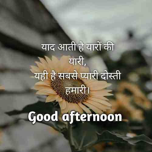 good-afternoon-message-in-hindi (1)
